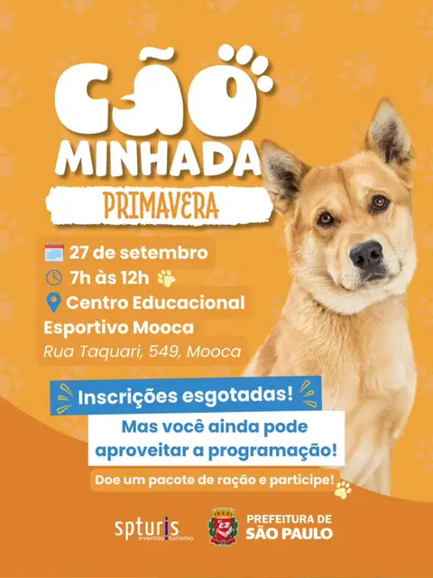 Está chegando a Cãominhada da Primavera 2026
